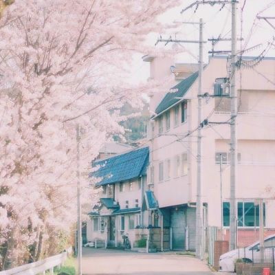 米乐网下载手机版