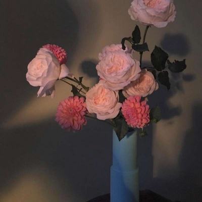 米乐网下载手机版